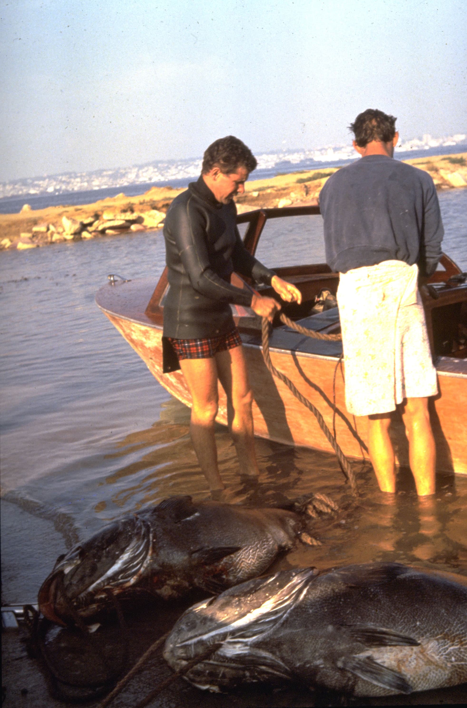 Body Glove … Rooted In Water Sports, Growing As An Outdoor