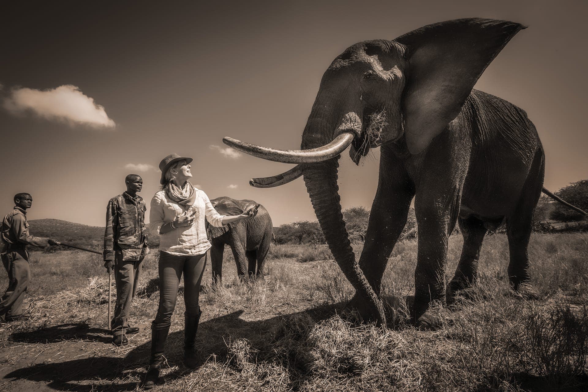 <p>Corie Knights with an African elephant at Ol Jogi Conservancy in Kenya</p>
