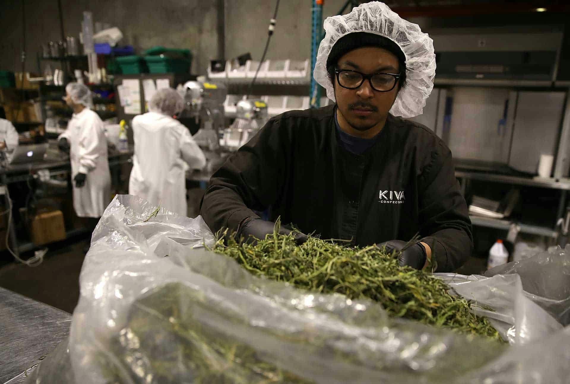 <p>A worker prepares to package freshly made marijuana infused chocolate bars at Kiva Confections on January 16, 2018 in Oakland, California. (Photo by Justin Sullivan/Getty Images)</p>
