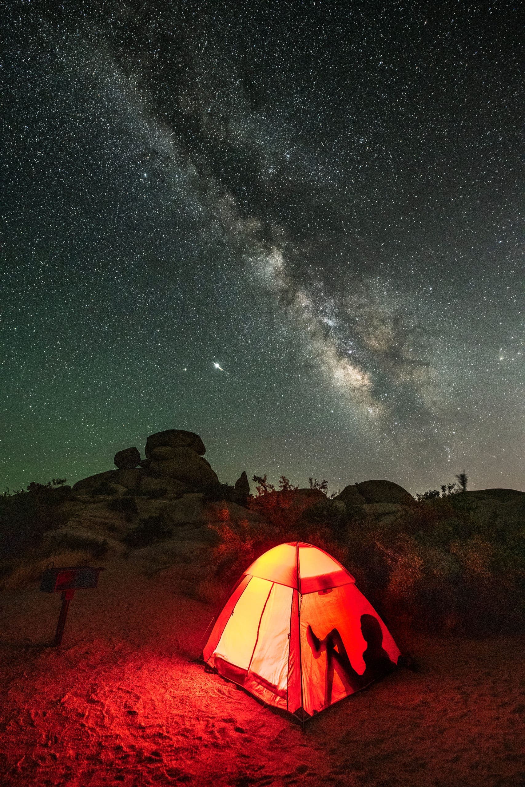 <p><I>Joshua Tree</I>  |  Photo by Mark Edward Harris  </p>
